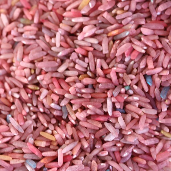 Speelrijst dino mix (500 gram)2