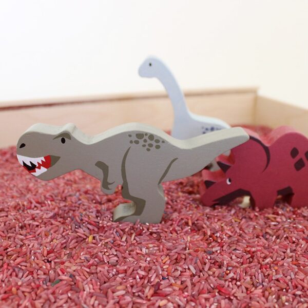 Speelrijst dino mix (500 gram)3