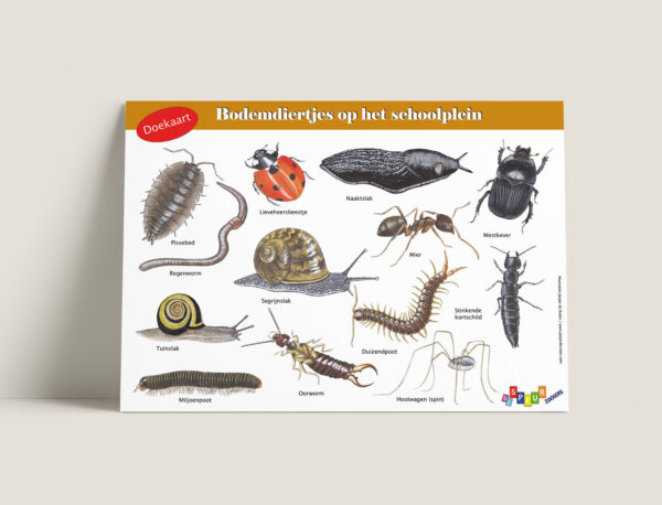 Doekaart Bodemdiertjesophetschoolplein