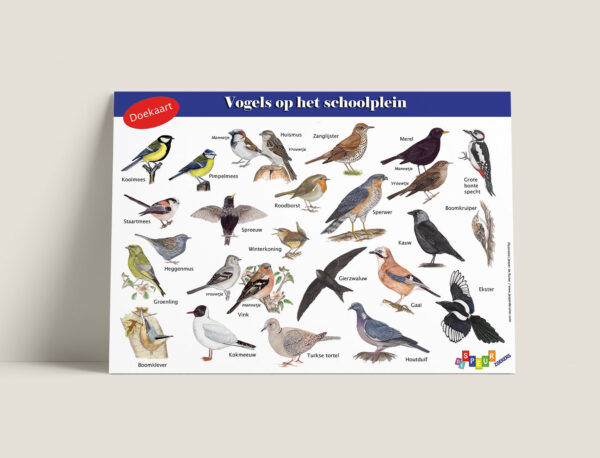 Doekaart vogelsophetschoolplein