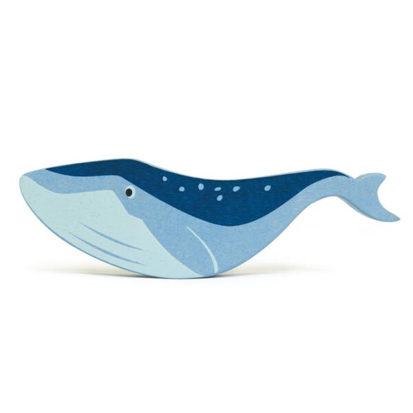 HOUTEN ZEEDIER WALVIS