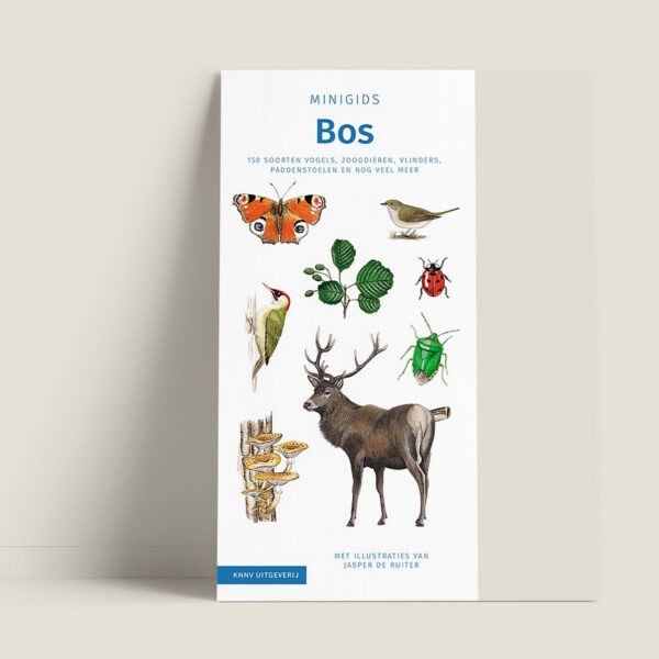 MinigidsBos