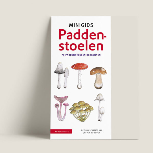 MinigidsPaddenstoelen