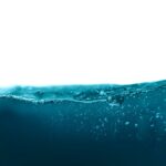 water (1)