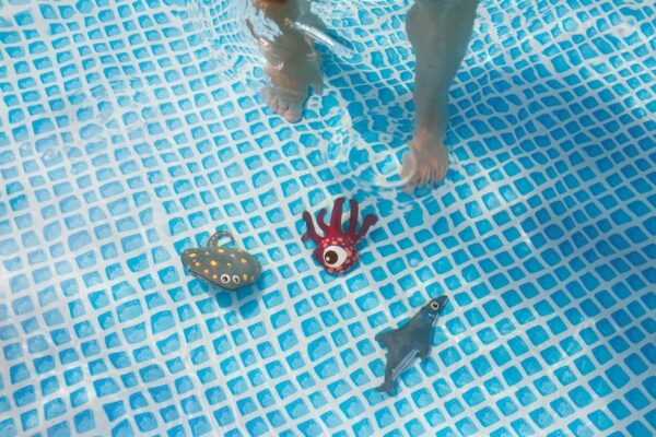 Duikdieren – haai, rog en octopus4
