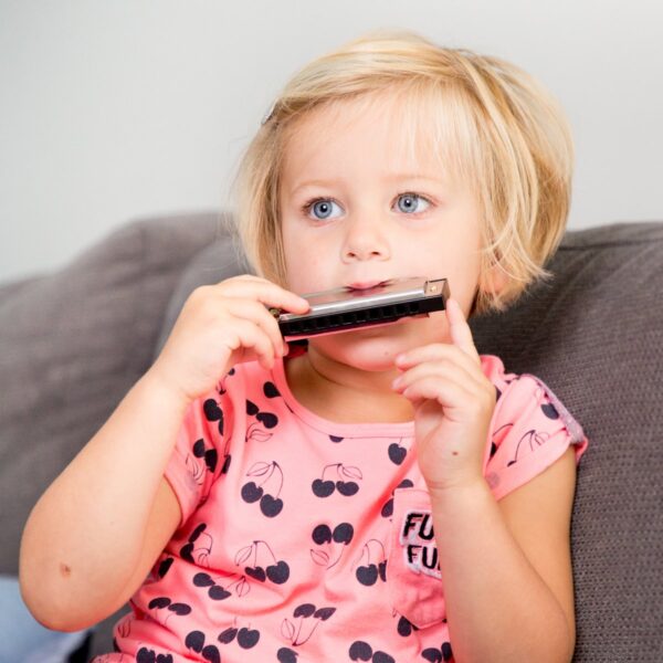 mondharmonica4