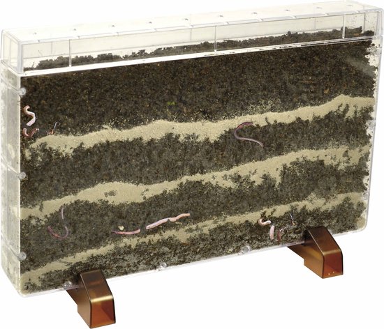 wormhotel