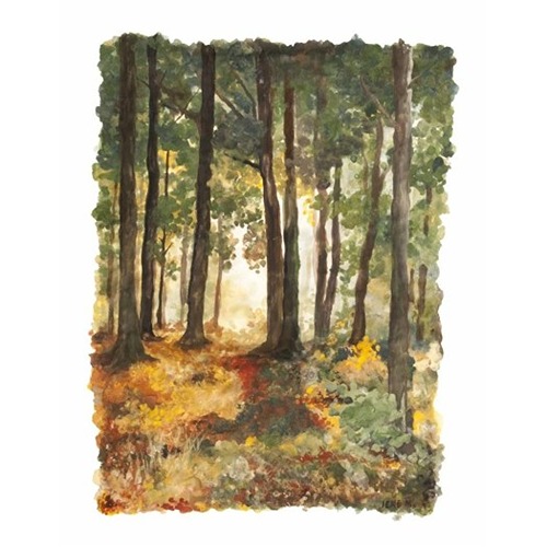 bos (1)