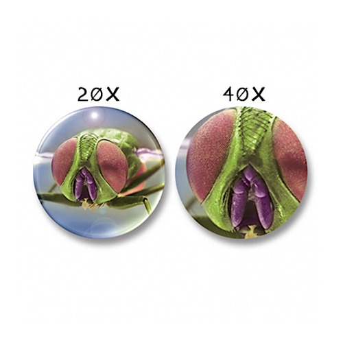 Zoomscope1 Navir Zoomscope – Microscoop & Vergrootglas in één