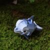 MierEdu – 3D Puzzel Build & Sound – dolfijn bouwpakket