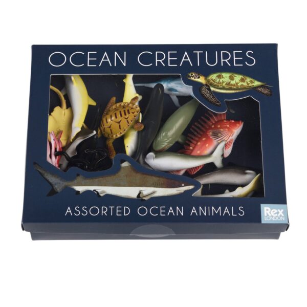 ocean dieren1 Rex London Oceaandieren Set – 16 Speelfiguren in Doos