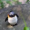 Mieredu – 3D Puzzel Build & Sound – Keizers pinguïn bouwpakket