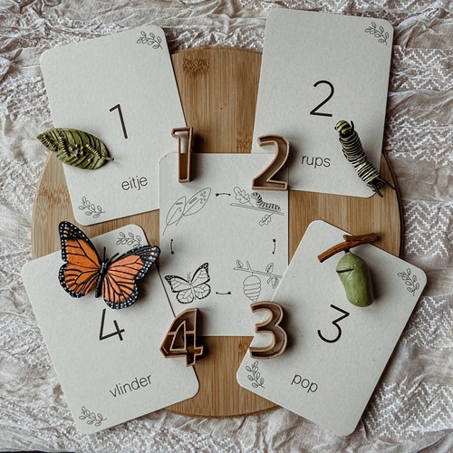 Wildebras Lifecycle Flashcards Vlinder – Educatief Montessori natuur speelgoed bij Het Speellab