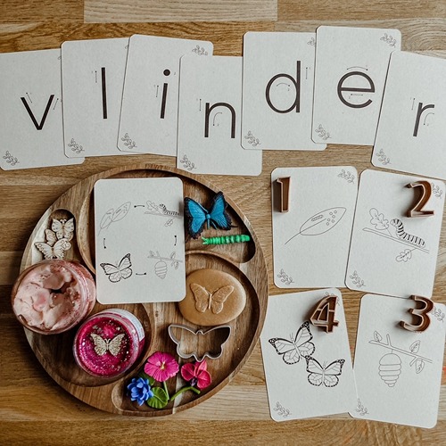 Wildebras Lifecycle Flashcards Vlinder – Educatief Montessori natuur speelgoed bij Het Speellab