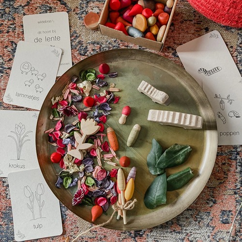 wildebras-lente-flashcards-montessori-seizoenstafel Lente flashcards Montessori speelgoed – educatieve kaarten voor de seizoenstafel van Wildebras