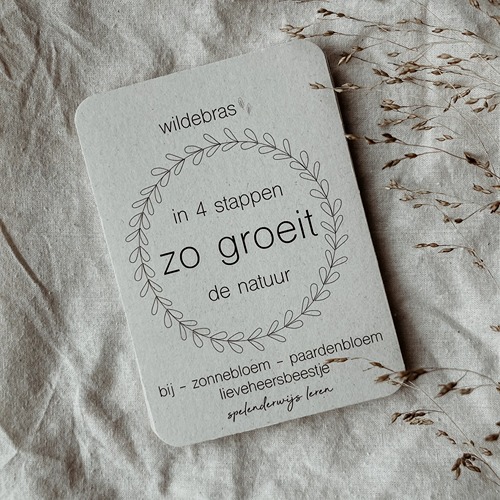 Wildebras lifecycle flashcards bij lieveheersbeestje en bloemen – educatief Montessori materiaal voor natuuronderwijs