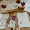Wildebras lifecycle flashcards bij lieveheersbeestje en bloemen – educatief Montessori materiaal voor natuuronderwijs