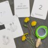 Wildebras lifecycle flashcards bij lieveheersbeestje en bloemen – educatief Montessori materiaal voor natuuronderwijs