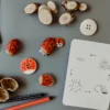 Wildebras lifecycle flashcards bij lieveheersbeestje en bloemen – educatief Montessori materiaal voor natuuronderwijs
