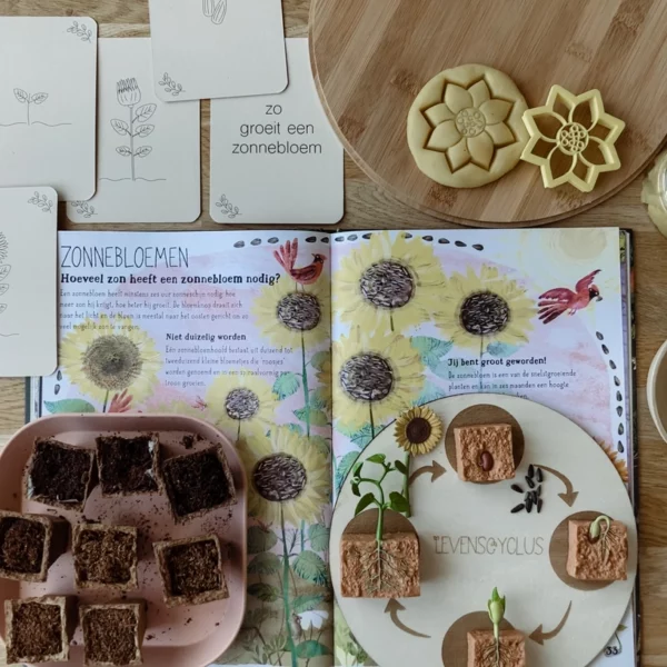 Wildebras lifecycle flashcards bij lieveheersbeestje en bloemen – educatief Montessori materiaal voor natuuronderwijs