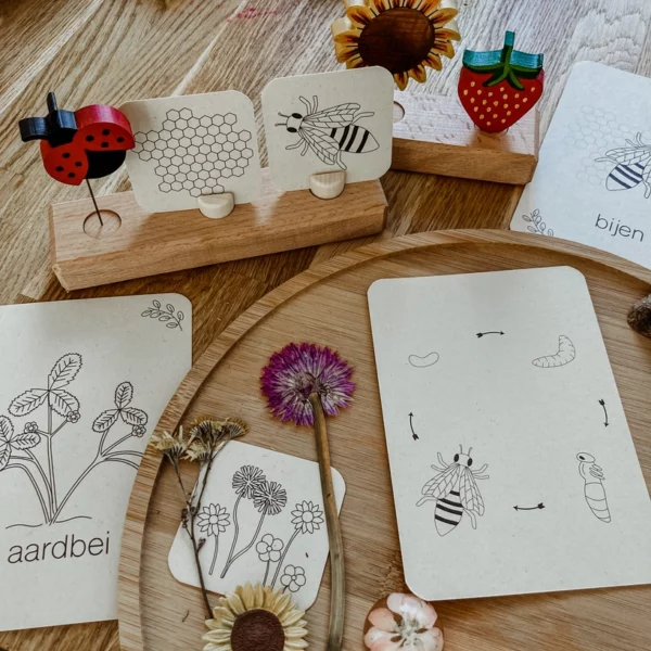 Wildebras lifecycle flashcards bij lieveheersbeestje en bloemen – educatief Montessori materiaal voor natuuronderwijs