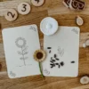Wildebras lifecycle flashcards bij lieveheersbeestje en bloemen – educatief Montessori materiaal voor natuuronderwijs