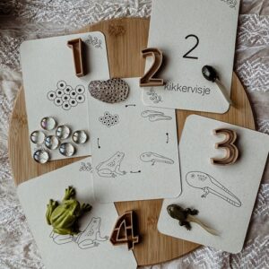 wildebras-lifecycle-flashcards-kikker-educatief-speelgoed-natuuronderwijs-1 (1) Wildebras lifecycle flashcards kikker – educatief Montessori speelgoed over de levenscyclus van de kikker