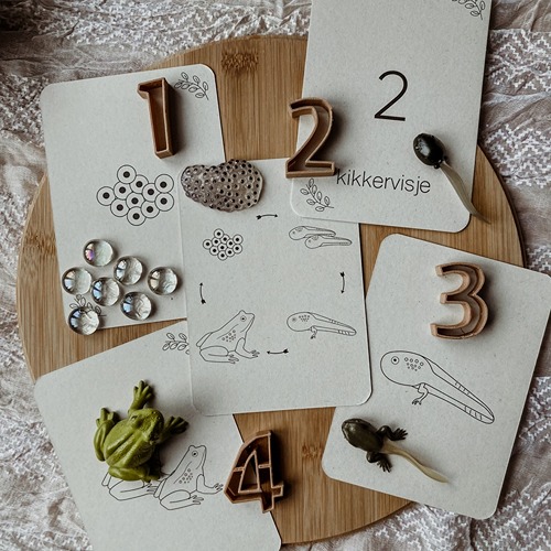 wildebras-lifecycle-flashcards-kikker-educatief-speelgoed-natuuronderwijs-1 (1) Wildebras lifecycle flashcards kikker – educatief Montessori speelgoed over de levenscyclus van de kikker