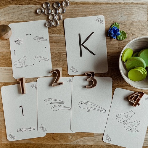 wildebras-lifecycle-flashcards-kikker-educatief-speelgoed-natuuronderwijs-2 (1) Wildebras lifecycle flashcards kikker – educatief Montessori speelgoed over de levenscyclus van de kikker