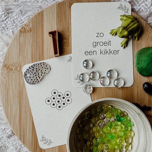 wildebras-lifecycle-flashcards-kikker-educatief-speelgoed-natuuronderwijs-6 (1) Duurzame lifecycle flashcards kikker – gedrukt op PaperWise papier met anatomie en levenscyclus