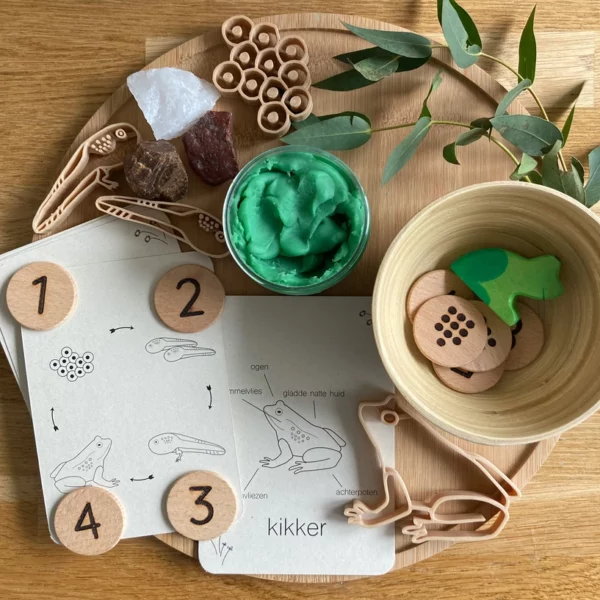 wildebras-lifecycle-flashcards-kikker-educatief-speelgoed-natuuronderwijs Duurzame lifecycle flashcards kikker – gedrukt op PaperWise papier met anatomie en levenscyclus