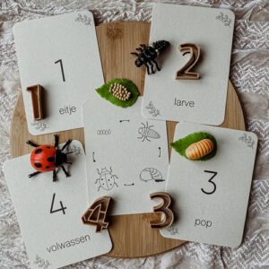 wildebras-lifecycle-flashcards-lieveheersbeestje-educatief-speelgoed-natuuronderwijs-3.jpg (1) Wildebras lifecycle flashcards lieveheersbeestje – educatief Montessori speelgoed voor natuuronderwijs