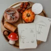 Wildebras lifecycle flashcards pompoen kastanje eikel paddenstoel – educatief Montessori speelgoed bij Het Speellab