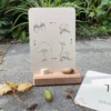 Wildebras lifecycle flashcards pompoen kastanje eikel paddenstoel – educatief Montessori speelgoed bij Het Speellab
