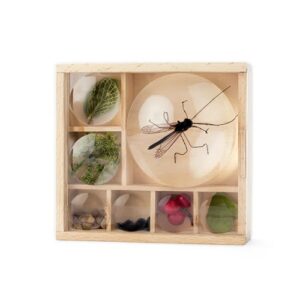 huckleberry-natuur-verzamelbox-educatief-speelgoed-hetspeellab Huckleberry Mijn Kleine Museum houten verzamelbox met vergrootglazen voor natuurschatten bij het speellab