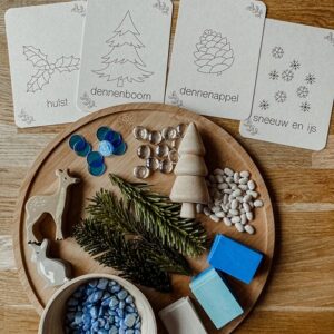 wildebras-winter-flashcards-montessori-educatief-duurzaam-natuur op schaal winterattributen met de flascards winter van wildebras erbij.