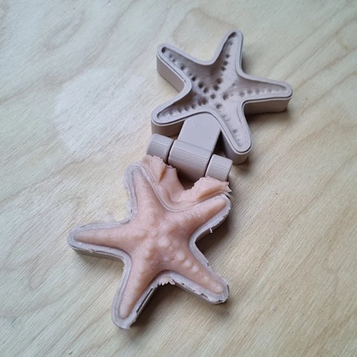Zeester mal voor speeltafel met zand en klei voor kinderen