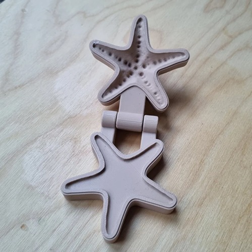 PLA vorm zeester met klei en zand mal van Kiddi