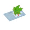 educatief-zonnepapier-creatief-ontdekkend-speelgoed.webp Blauwdruk papier in van PhänoMINT voor creatieve kinderactiviteiten en zonlicht experimenten
