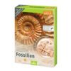 expeditie-natuur-uithakset-fossielen-dinosaurus Expeditie Natuur fossielen uithakset voor kinderen