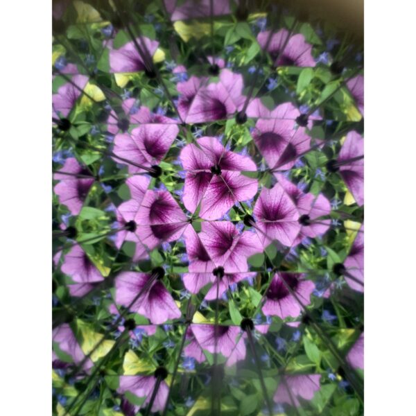 Kaleidoscoop voor buiten spelen en ontdekken in de natuur