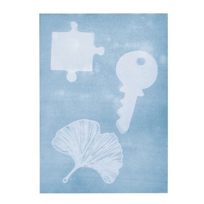 stem-creatief-kunstzinnig-speelgoed-zonnepapier-a4-kinderen.webp Blauwdruk papier van PhänoMINT voor creatieve kinderactiviteiten en zonlicht experimenten